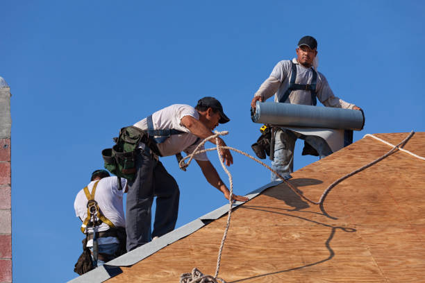 Best Best Roofing Contractors  in Brown City, MI