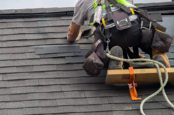 Best Metal Roofing Contractor  in Brown City, MI