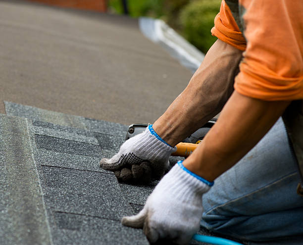 Best Emergency Roof Repair  in Brown City, MI