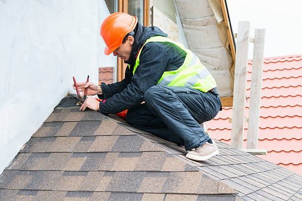Best Residential Roofing Contractor  in Brown City, MI